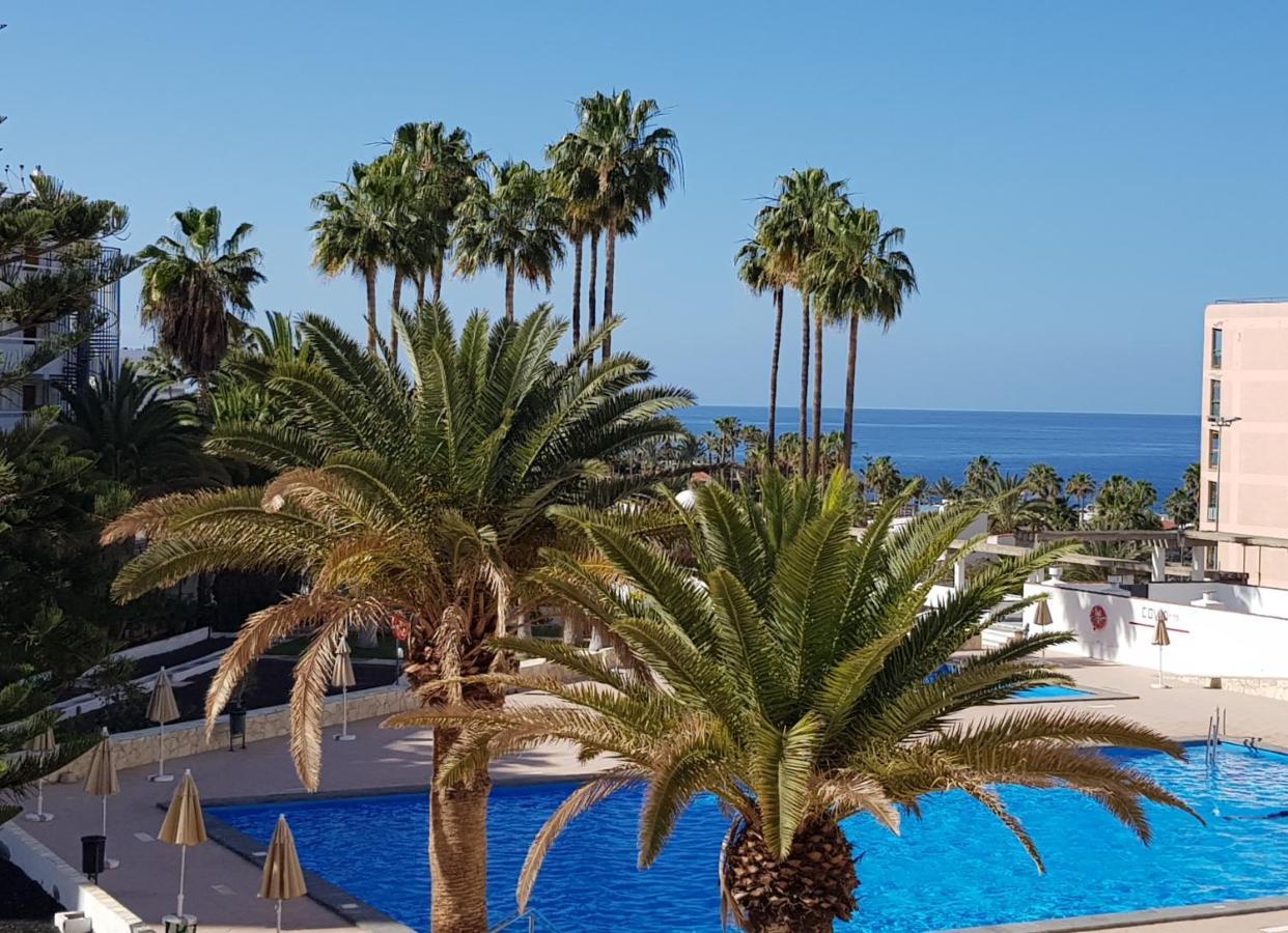 Appartamento Vina Del Mar Playa de las Americas  Esterno foto