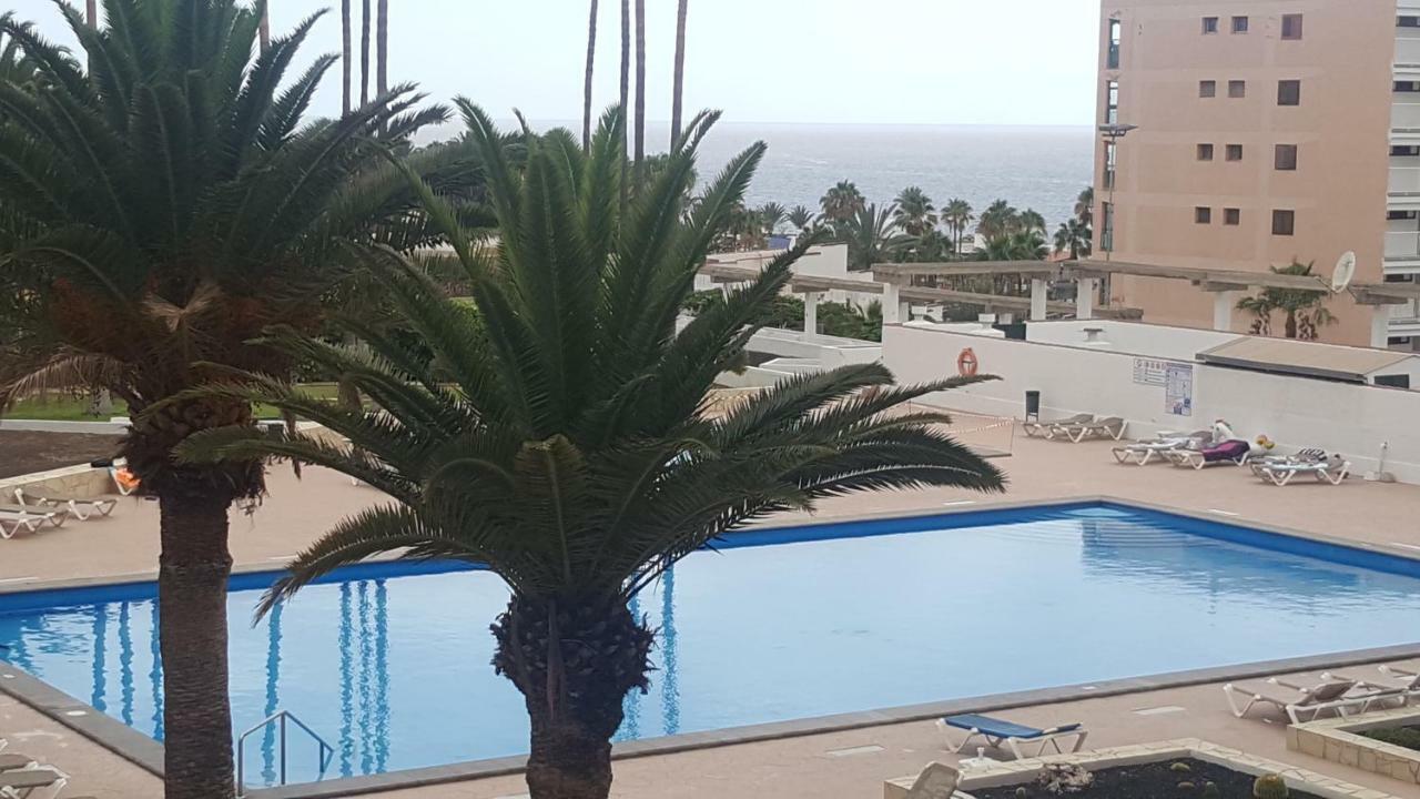 Appartamento Vina Del Mar Playa de las Americas  Esterno foto